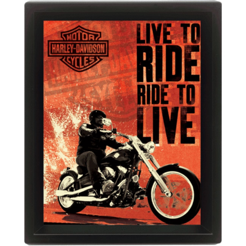 harley davidson live to ride